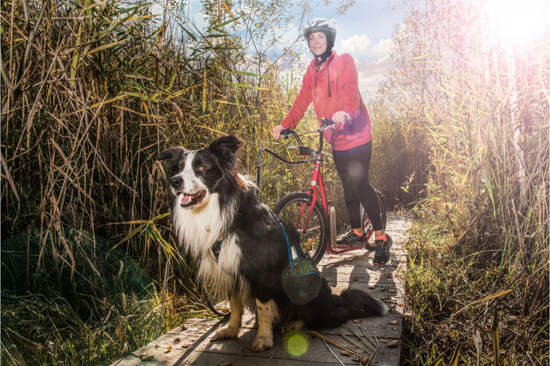 mushing - na koloběžku se psem